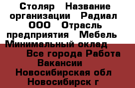 Столяр › Название организации ­ Радиал, ООО › Отрасль предприятия ­ Мебель › Минимальный оклад ­ 30 000 - Все города Работа » Вакансии   . Новосибирская обл.,Новосибирск г.